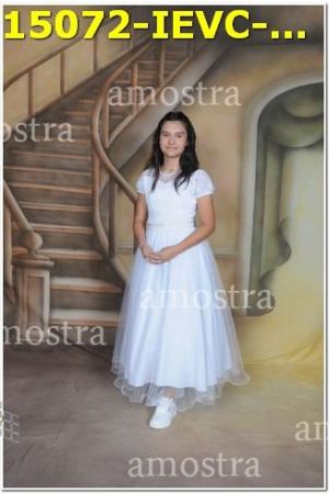 15072-IEVC-11-11-2023