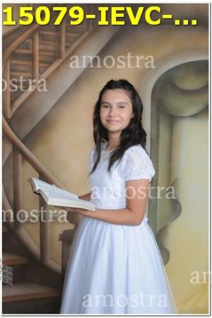 15079-IEVC-11-11-2023