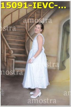 15091-IEVC-11-11-2023