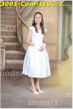 3001-Conf-IEVC-12-11-2022