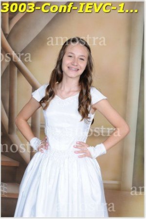 3003-Conf-IEVC-12-11-2022