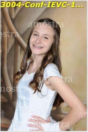 3004-Conf-IEVC-12-11-2022