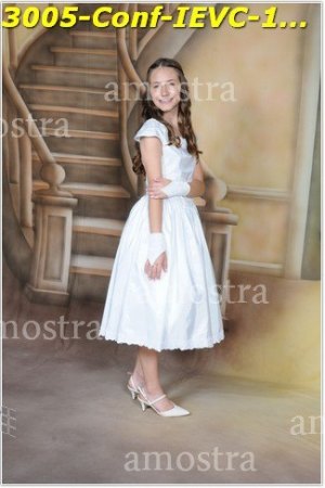 3005-Conf-IEVC-12-11-2022