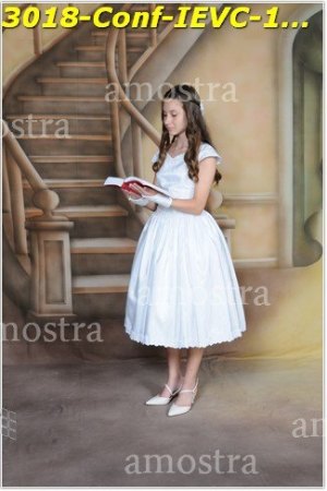 3018-Conf-IEVC-12-11-2022