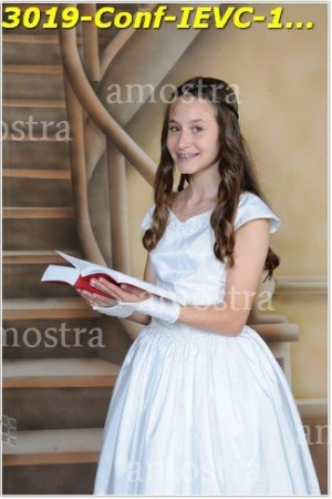 3019-Conf-IEVC-12-11-2022