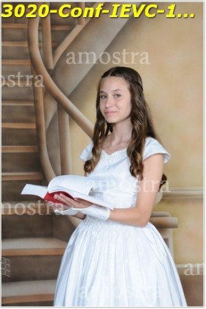 3020-Conf-IEVC-12-11-2022