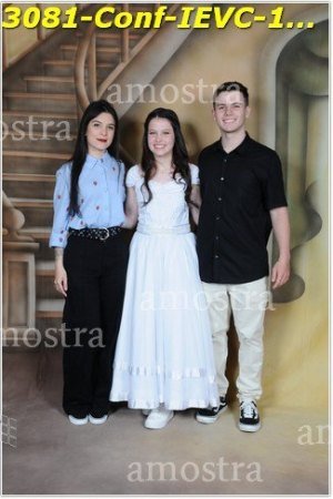 3081-Conf-IEVC-12-11-2022