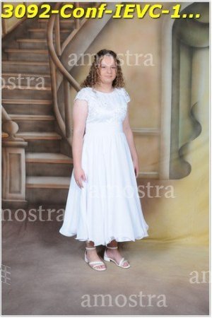 3092-Conf-IEVC-12-11-2022