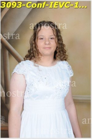 3093-Conf-IEVC-12-11-2022