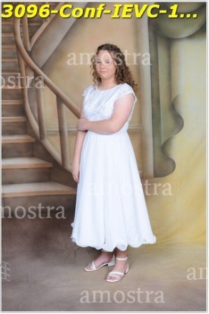 3096-Conf-IEVC-12-11-2022