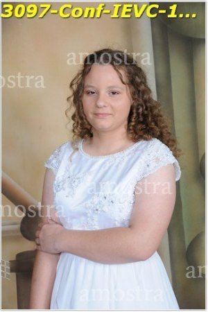 3097-Conf-IEVC-12-11-2022