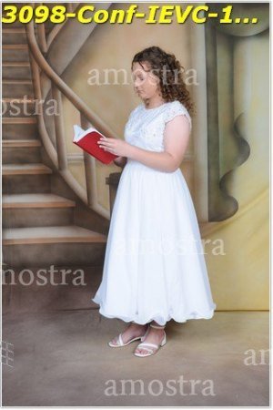 3098-Conf-IEVC-12-11-2022