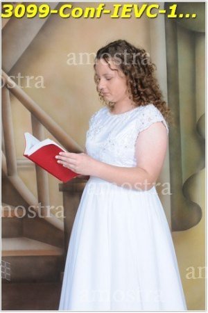 3099-Conf-IEVC-12-11-2022