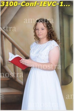 3100-Conf-IEVC-12-11-2022