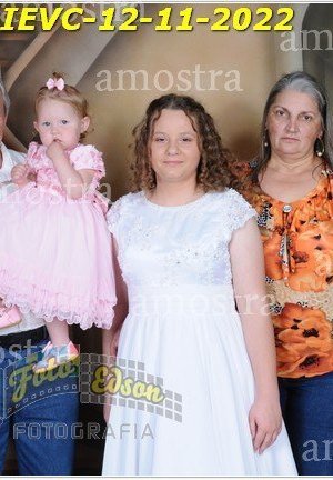 3117-Conf-IEVC-12-11-2022