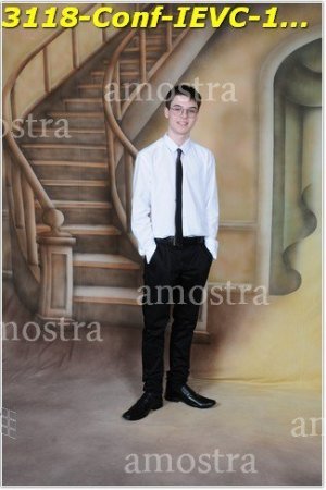 3118-Conf-IEVC-12-11-2022