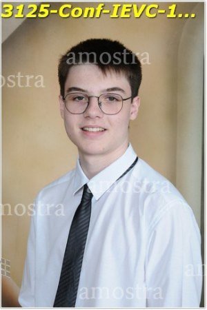 3125-Conf-IEVC-12-11-2022