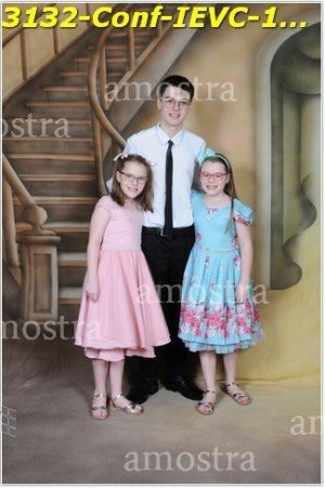 3132-Conf-IEVC-12-11-2022