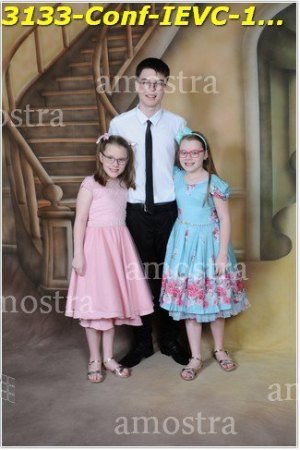 3133-Conf-IEVC-12-11-2022