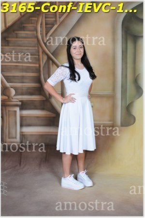 3165-Conf-IEVC-12-11-2022