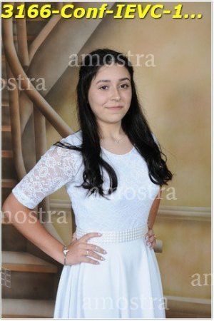 3166-Conf-IEVC-12-11-2022