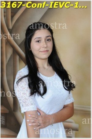 3167-Conf-IEVC-12-11-2022