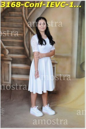 3168-Conf-IEVC-12-11-2022