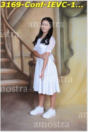3169-Conf-IEVC-12-11-2022