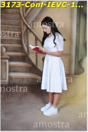 3173-Conf-IEVC-12-11-2022