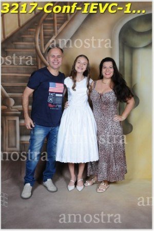 3217-Conf-IEVC-12-11-2022