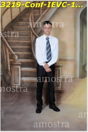3219-Conf-IEVC-12-11-2022