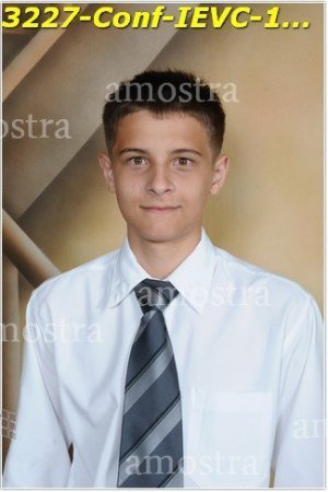 3227-Conf-IEVC-12-11-2022