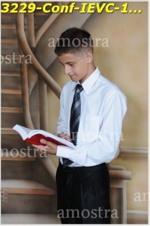 3229-Conf-IEVC-12-11-2022