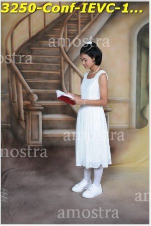 3250-Conf-IEVC-12-11-2022