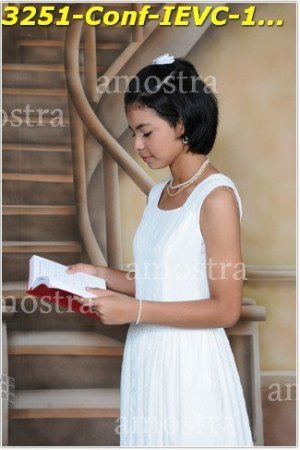 3251-Conf-IEVC-12-11-2022