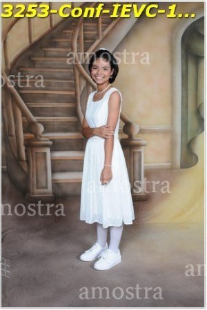 3253-Conf-IEVC-12-11-2022