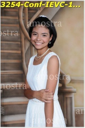 3254-Conf-IEVC-12-11-2022