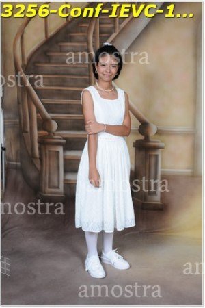 3256-Conf-IEVC-12-11-2022