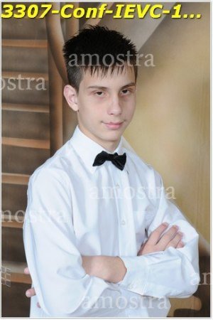 3307-Conf-IEVC-12-11-2022