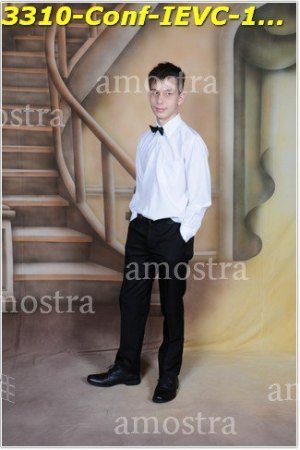 3310-Conf-IEVC-12-11-2022