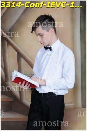 3314-Conf-IEVC-12-11-2022