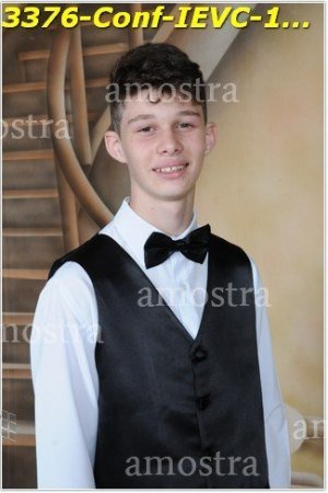 3376-Conf-IEVC-12-11-2022