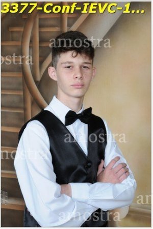 3377-Conf-IEVC-12-11-2022