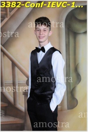 3382-Conf-IEVC-12-11-2022