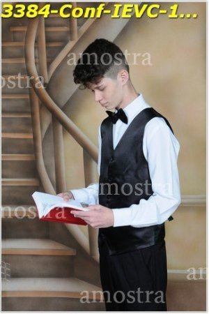 3384-Conf-IEVC-12-11-2022