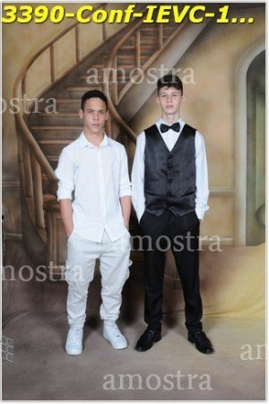 3390-Conf-IEVC-12-11-2022