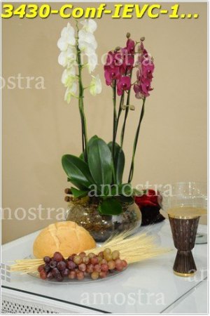 3430-Conf-IEVC-12-11-2022