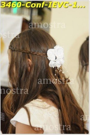 3460-Conf-IEVC-12-11-2022