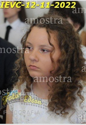 3469-Conf-IEVC-12-11-2022