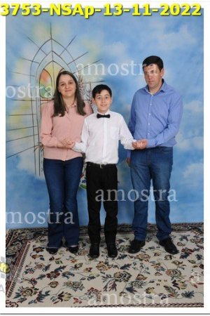 3753-NSAp-13-11-2022